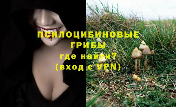 гидра Бугульма