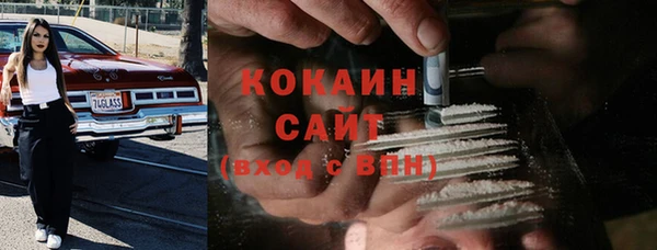 кокс Богородицк