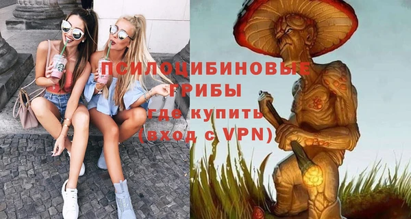 кокс Богородицк
