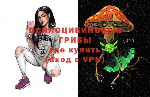таблы Богданович