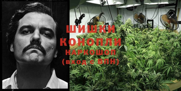 таблы Богданович