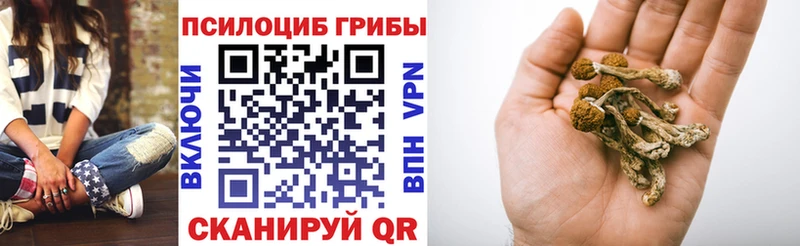 Галлюциногенные грибы мицелий  Купить закладки  Волгореченск 